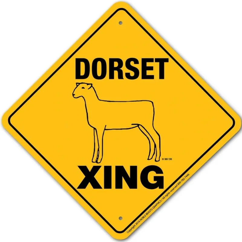 2026_06_03_2151941