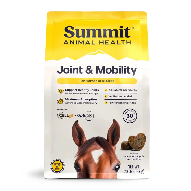 2026_06_03_2162565