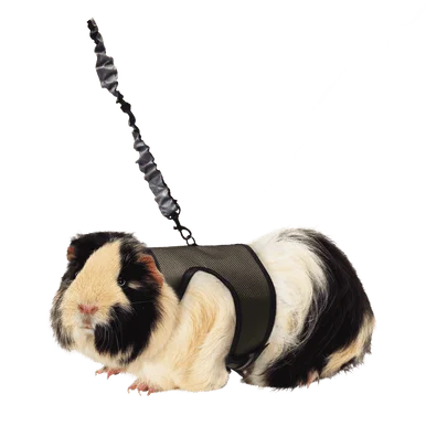 feederspetsupply202606021557332052612