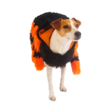 feederspetsupply202606021636272057785