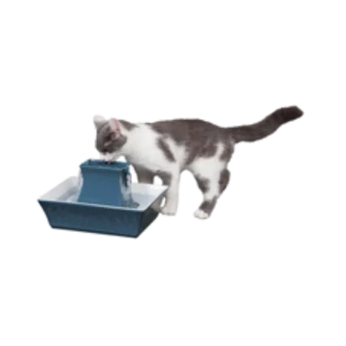 feederspetsupply202606021637112058155