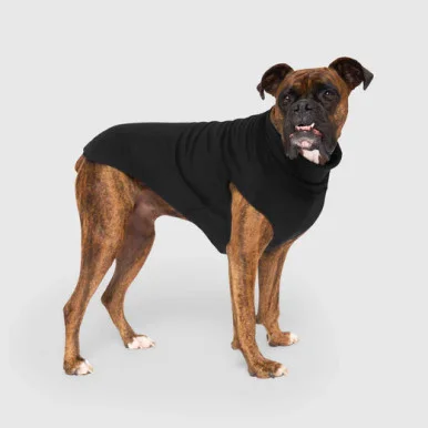 feederspetsupply202606021638262058636
