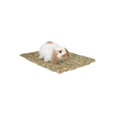 feederspetsupply202606021650422063016