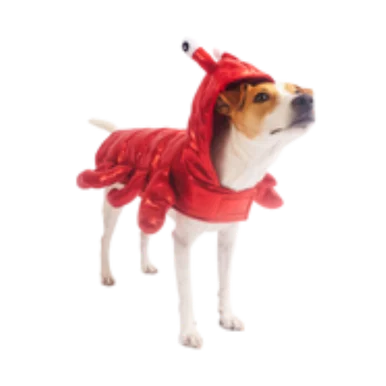 feederspetsupply202606021720142074646