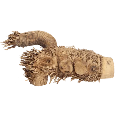 feederspetsupply202606021737572081690