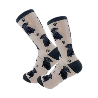 feederspetsupply202606021742272083247