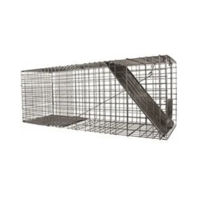 feederspetsupply202606021745442084290