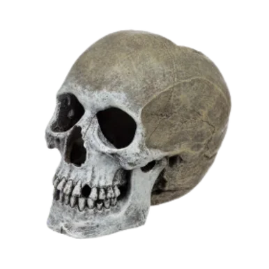 feederspetsupply202606021753402086989