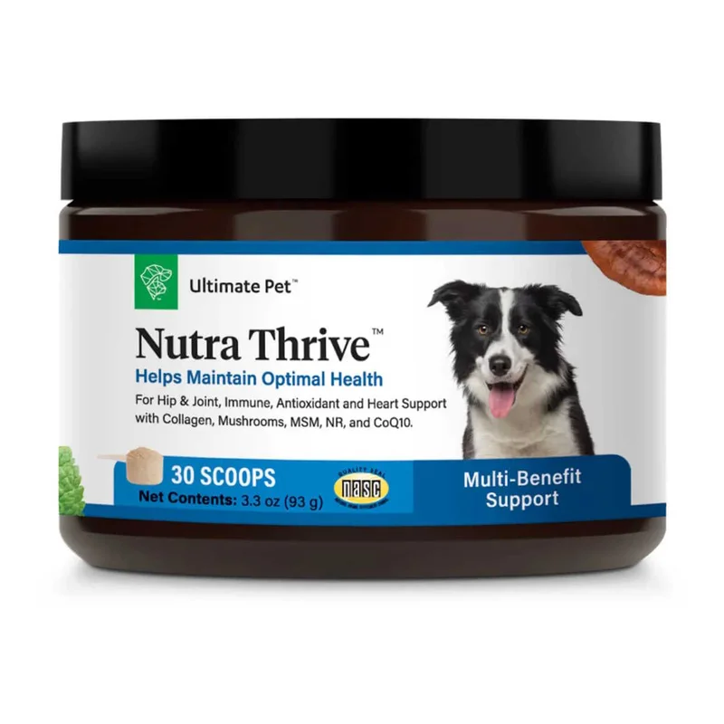 naturalpetwarehouse202606021728572078097