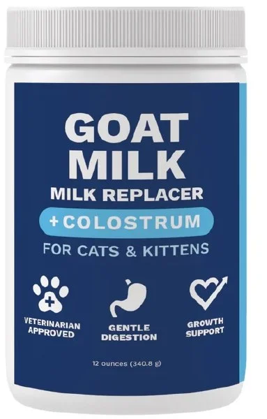 petnation202606021536592050376