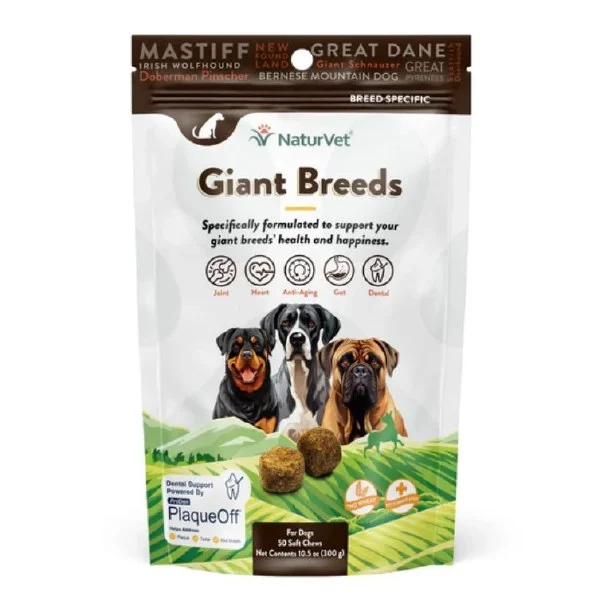 petnation202606021658052065972