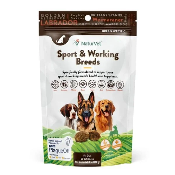 petnation202606021658112066005