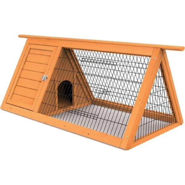petnation202606021717512073660