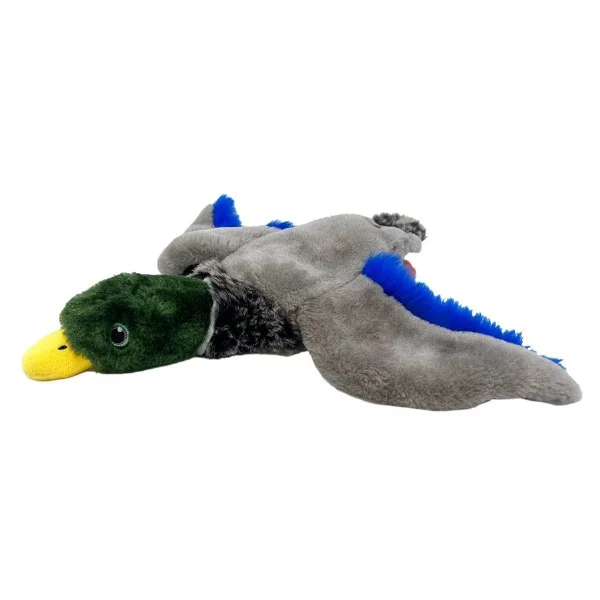 petnation202606021730542078829