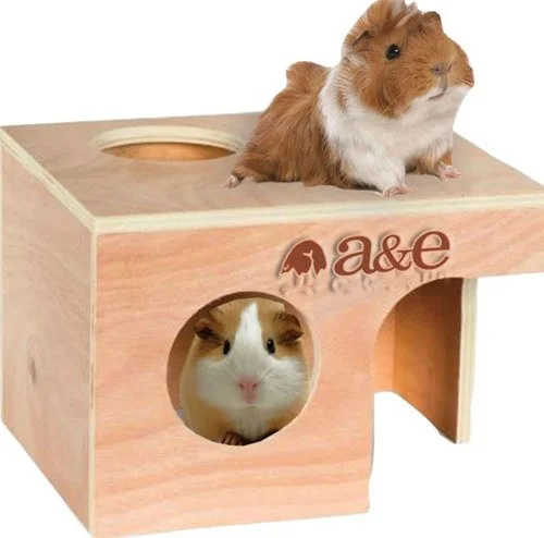 petnation202606021733262079831