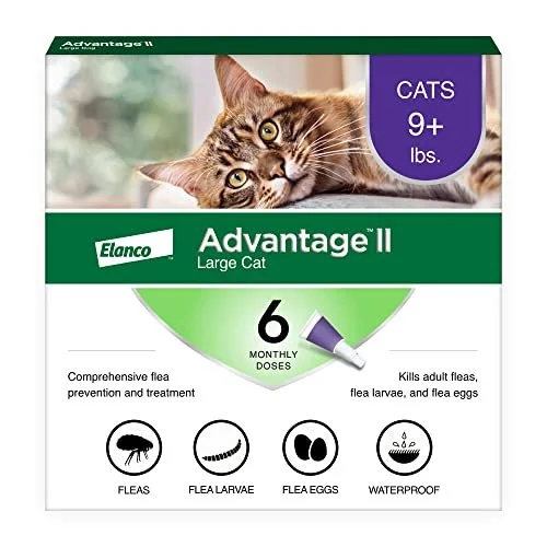 petnation202606021735392080809