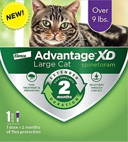 petnation202606021735452080851