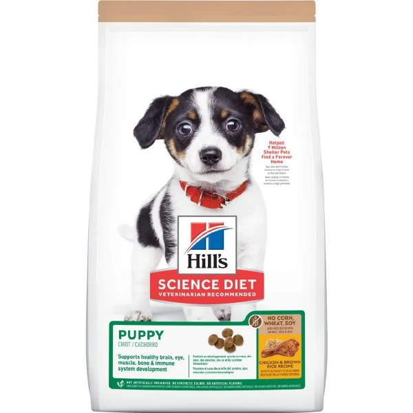 petnation202606021758332088550