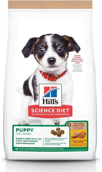 petnation202606021759322088897