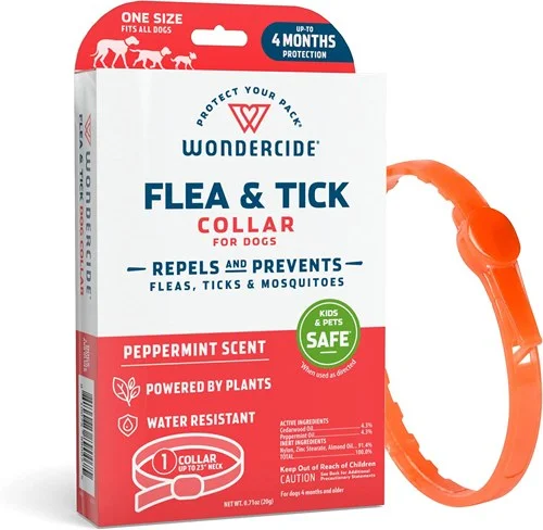 petnation202606021806382091383