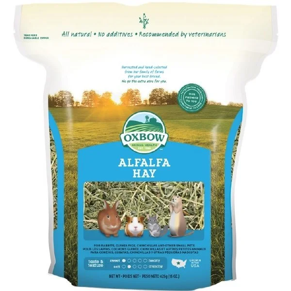 petnation202606021822512096154