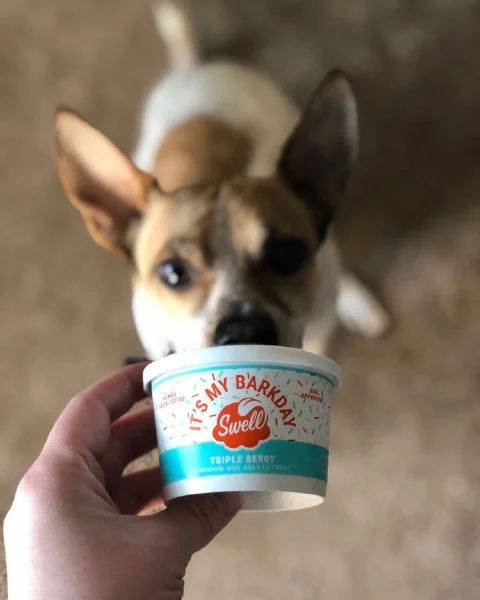 petnation202606021912122108117