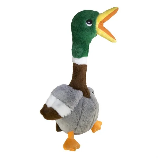 petnation202606021931072111590