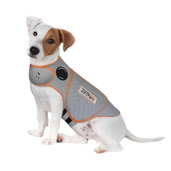 petnation202606021958332116495