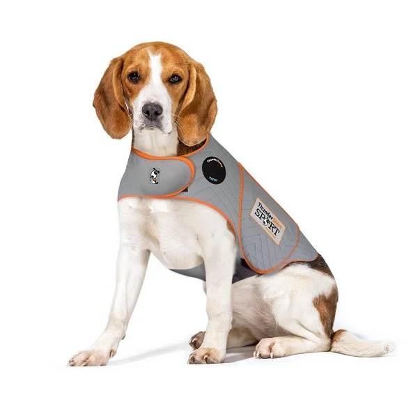 petnation202606022004462117588