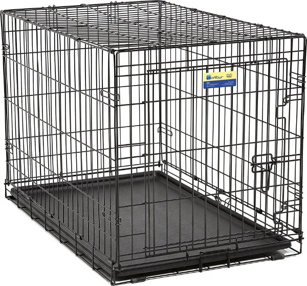 petnation202606022011582118834