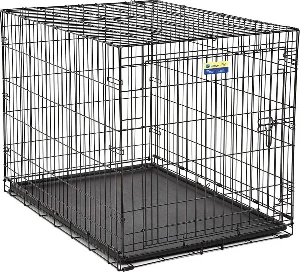 petnation202606022012512118998