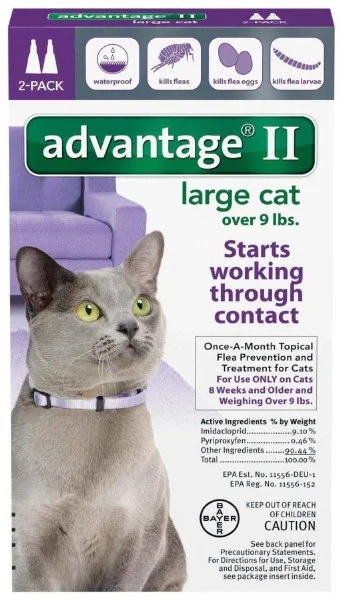 petnation202606022043542123945
