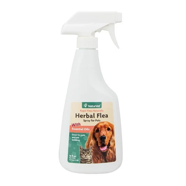 petnation202606022044322124026