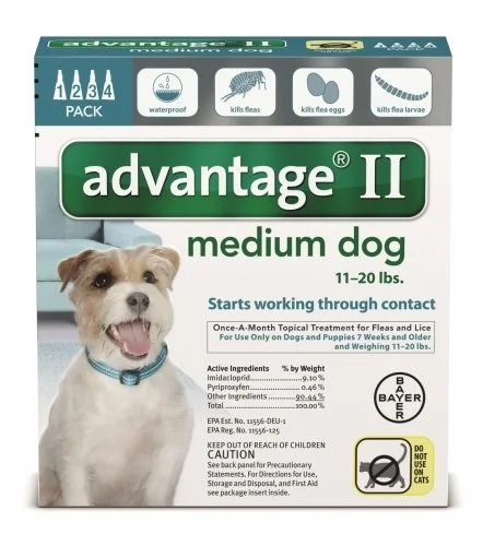petnation202606022046002124228