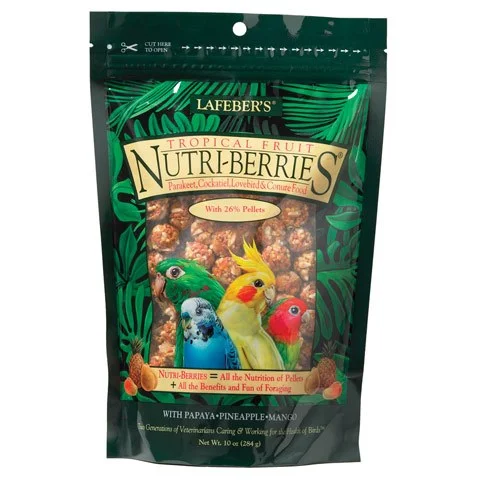 petnation202606022104032126633