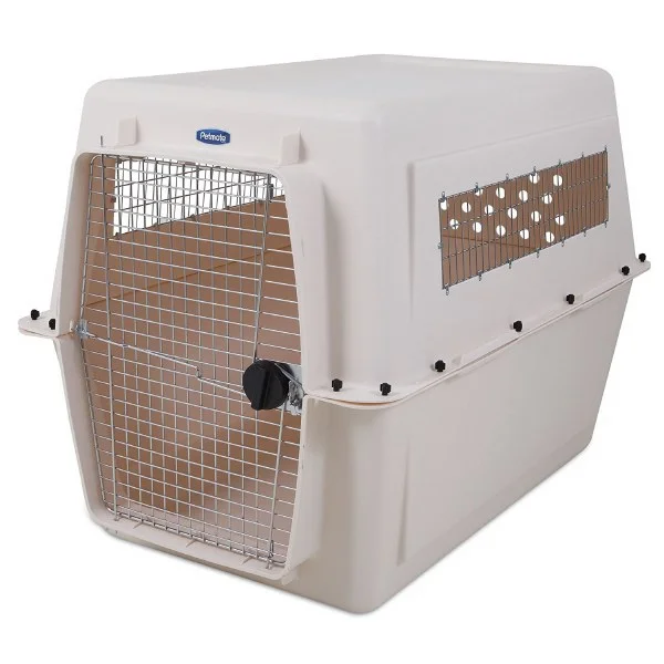 petnation202606022118102128598