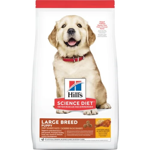 petnation202606022141212131695