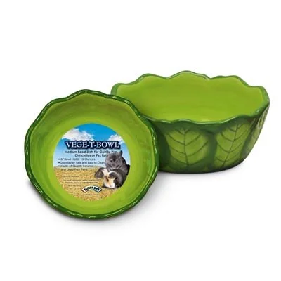 petnation202606022155042133528