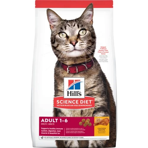 petnation202606022242052139731