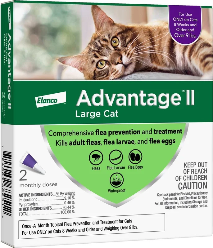 petpros202606021631572056006