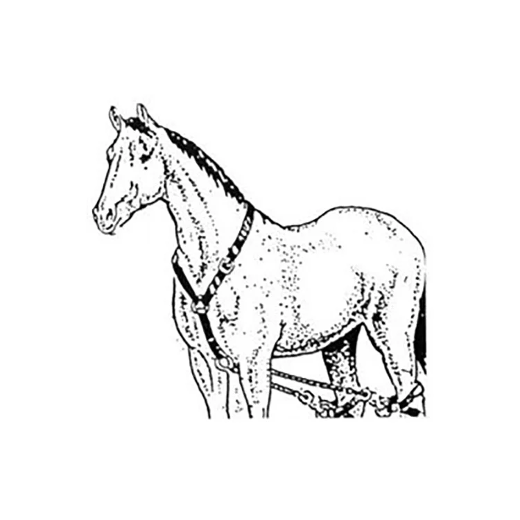 revivalanimal202606021712562071694